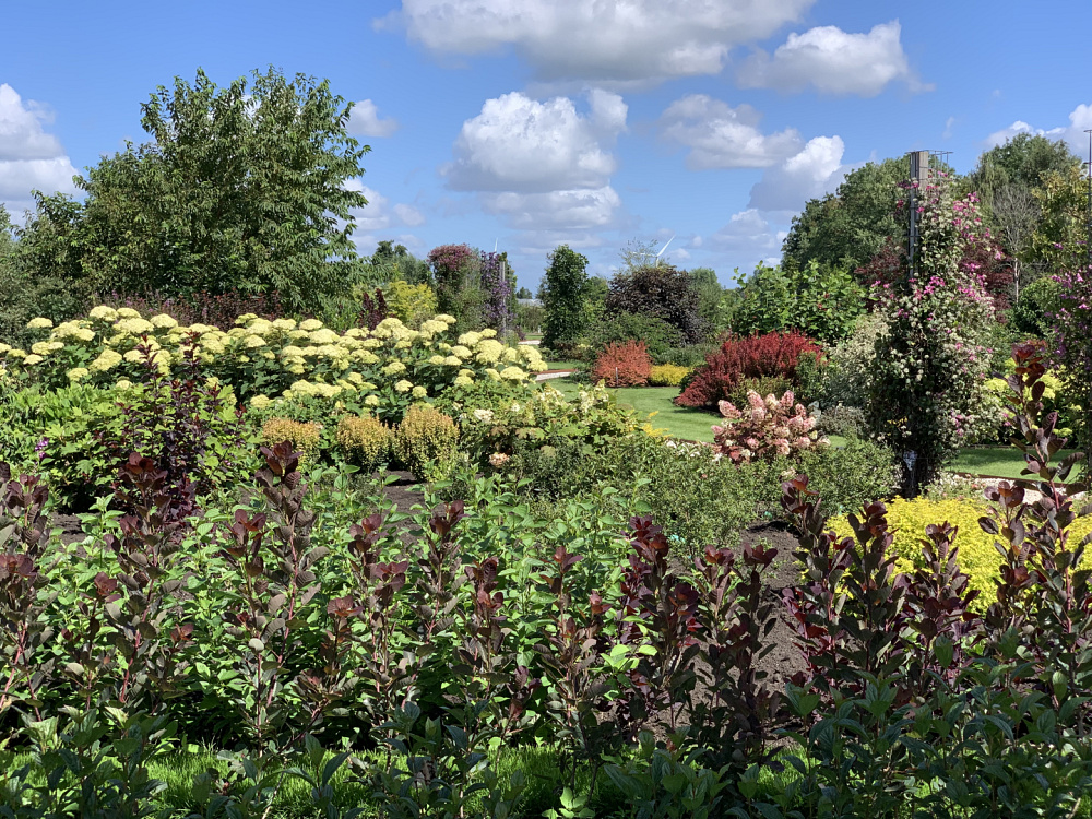 valkplant   showtuin 5