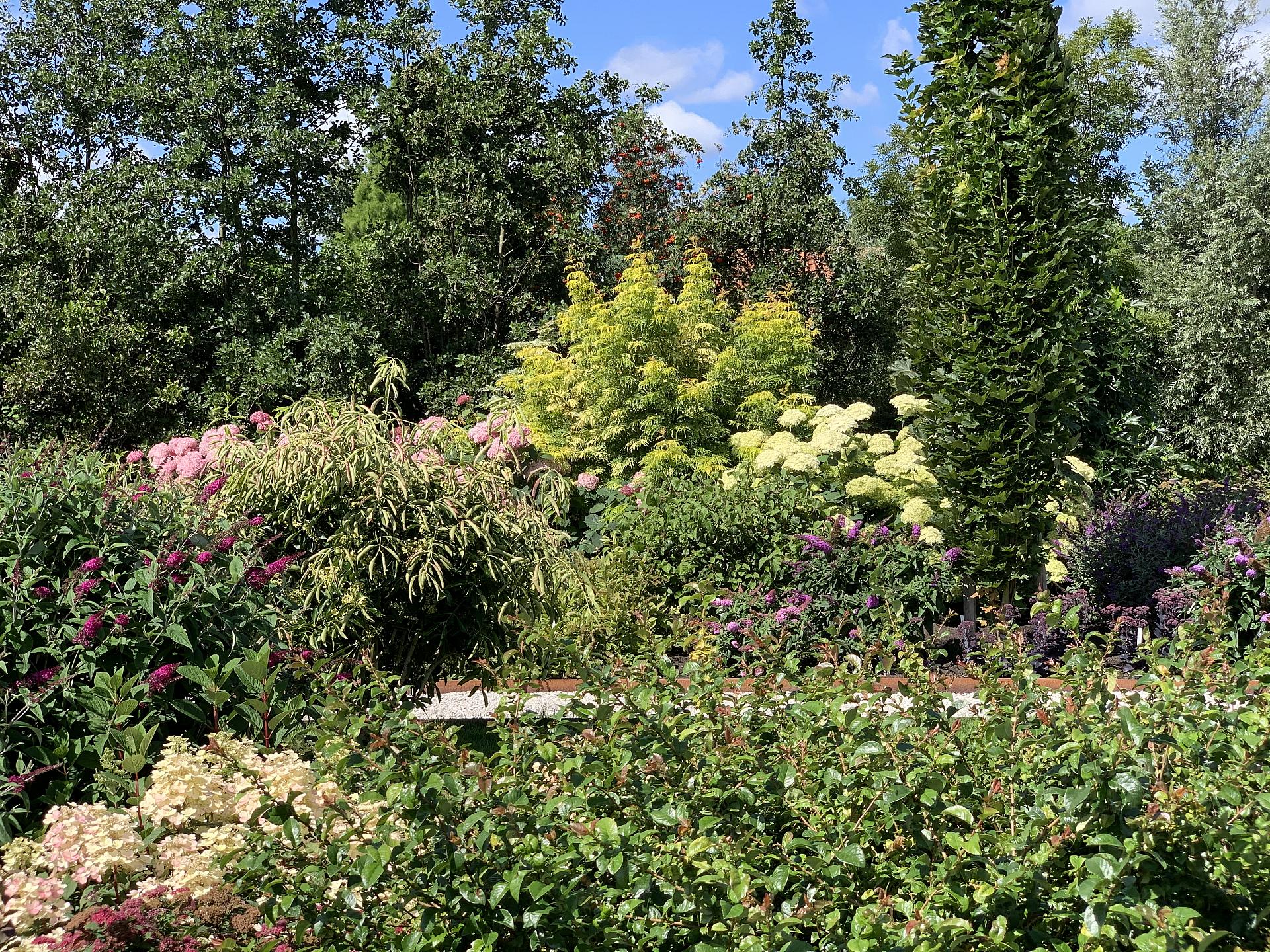 valkplant showtuin 4